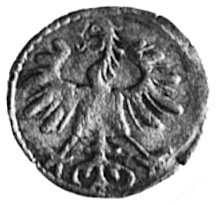 denar 1554, Wilno, j.w., Gum.592, Kurp.641 R4, T.8