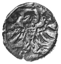 denar 1556, Elbląg, Aw: Orzeł Ziem Pruskich, Rw: Herb Elbląga, Gum.654, Kurp.990 R3, T.7
