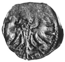 denar 1557, Elbląg, j.w., Gum.654, Kurp.991 R4, T.7, niedobity
