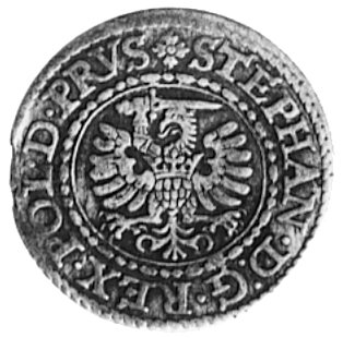 szeląg 1579, Gdańsk, Aw: Orzeł Ziem Pruskich i n