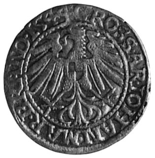 grosz 1544, Krosno, j.w., Kop.4.I.1 -r-, Bahr.1236