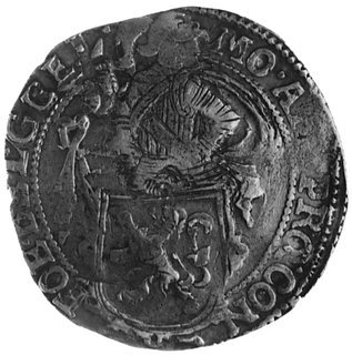 talar lewkowy 16553, Geldria, Aw: Rycerz trzymający tarczę herbową, w otoku napis, Rw: Stojący lew, w otoku napis,Delm.- (wyraźny błąd, w stemplu data 16553 !)