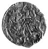 denar 1553, Wilno, Aw: Orzeł, Rw: Pogoń, Gum.592, Kurp.640 R4, T.8