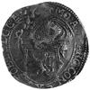 talar lewkowy 16553, Geldria, Aw: Rycerz trzymający tarczę herbową, w otoku napis, Rw: Stojący lew..