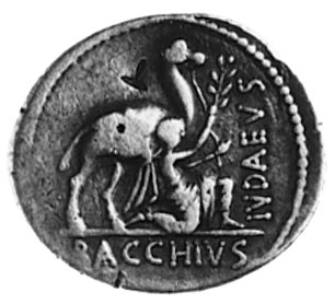 A. Plautius około 55 pne, denar, Aw: Głowa Cybele w wysokiej koronie i napis: AED.CVR.S.C- A.PLAVTIVS, Rw: Bacchius klęczący przy wielbłądzie, napis: BACCHIVS IVDAEVS.. Sear Plautia 13, Craw.453/1c, wyobrażenie z rewersu monety nawiązuje do podboju Judei