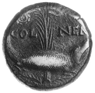 GALIA- Nemausus, AE-25 (as), Aw: Głowy Agryppy i Augusta zwrócone tyłem do siebie i napis: IMP DIVI F, Rw:Krokodyl przywiązany do palmy, Sear 554, RIC 155