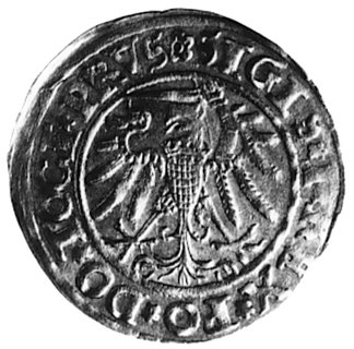 grosz 1534, Elbląg, Aw: Orzeł Prus Królewskich (ręka z mieczem z prawej strony) i napis, Rw: Herb Elbląga i napis,Gum.582, Kurp.593 R