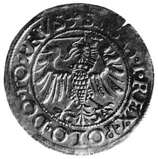 grosz 1539, Elbląg, Aw: Orzeł Prus Królewskich (