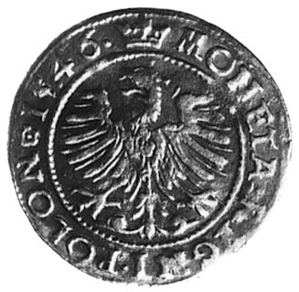 grosz 1546, Kraków, Aw: Korona i napis, Rw: Orzeł i napis, Gum.488, Kurp.58 R3