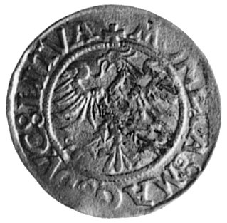 półgrosz bez daty, Wilno, j.w., Gum.608 RR, Kurp.757 R8, H-Cz.5688 R7, T.60, niezmiernie rzadka moneta
