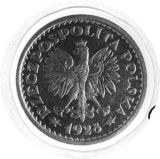 1 złoty 1928, Warszawa, bez napisu: PRÓBA, Parch