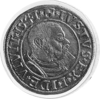 grosz 1541, Królewiec, j.w., Neumann 45, Kop.II.l, odmiana z krótką bródką księcia