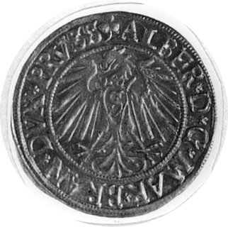 grosz 1541, Królewiec, j.w., Neumann 45, Kop.II.l, odmiana z krótką bródką księcia