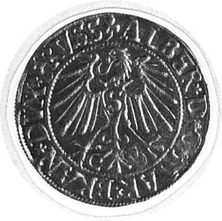 grosz 1546, Królewiec, j.w., Neumann 47, Kop.III