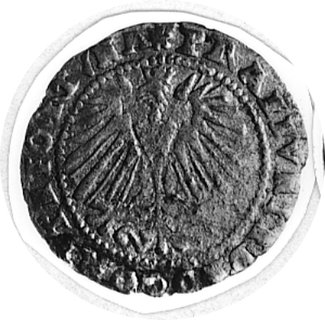 grosz 1569, Bielsko, Aw: Popiersie i napis, Rw: Orzeł i napis, FbSg.2974, Kop.753.II.2 -RRR-, bardzo rzadka moneta