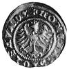 półgrosz 1508, Kraków, j.w., Gum.480, Kurp.25 R, moneta rzadka w tym stanie zachowania