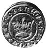półgrosz 1508, Kraków, j.w., Gum.480, Kurp.25 R, moneta rzadka w tym stanie zachowania