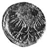 denar 1560, Wilno, j.w., Gum.592, Kurp.648 R3, T