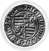 Zygmunt 1387-1437, goldgulden, Aw: Tarcza herbowa, w otoku napis, Rw: Święty Ładysław, w otoku nap..