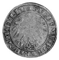 grosz 1536 Wilno, Aw: Orzeł i napis, Rw: Pogoń i napis, odmiana z literką F, Gum. 517, Kurp. 212 R..