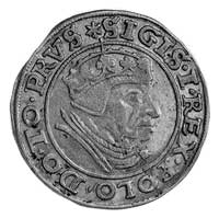 grosz 1539, Gdańsk, j.w., Gum. 565, Kurp. 482 R