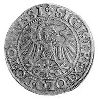 grosz 1540, Elbląg, Aw: Orzeł Prus Królewskich (ręka z mieczem z lewej strony) i napis, Rw: j.w., ..