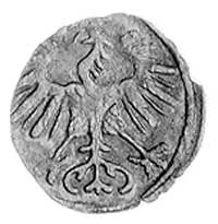 denar 1554, Wilno, Aw: Orzeł , Rw: Pogoń, Gum. 5