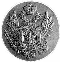 zestaw monet grosz z miedzi krajowej 1823, Warszawa i grosz 1835, Warszawa, Plage 213, Plage 236, ..