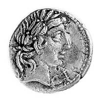 denar- C, Vibius C. f. Pansa- 90 pne, Aw: Głowa Apolla w wieńcu w prawo, pod brodą nieokreślony zn..