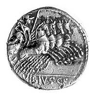 denar- C, Vibius C. f. Pansa- 90 pne, Aw: Głowa Apolla w wieńcu w prawo, pod brodą nieokreślony zn..