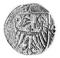 Księstwo Nyskie- miasto Nysa, halerz 1382-1417, 