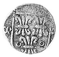 Księstwo Nyskie- miasto Nysa, halerz 1382-1417, 