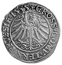 grosz 1535, Toruń, Aw: Popiersie w koronie i czepcu i napis, Rw: Orzeł Prus Królewskich (ręka z mi..