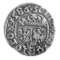szeląg 1586, Olkusz, j.w., Gum. 678, Kurp. 54 R1, na rewersie literki N-H po bokach korony.