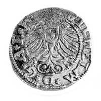 szeląg 1563, Aw: Orzeł brandenburski i napis, Rw