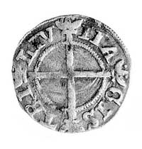 szeląg 1535, Aw: Długi krzyż i napis, Rw: Tarcza herbowa z krzyżem i napis, Neumann242.