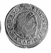 grosz 1569, Aw: Głowa i napis FRI.CASI.D.G.DVX.T