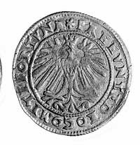 grosz 1569, Aw: Głowa i napis FRI.CASI.D.G.DVX.T