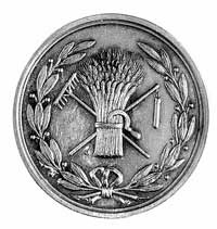 medal Towarzystwa Rolniczego Okręgowego w Nowym 