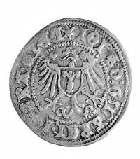 Johann Cicero 1486-1499, grosz 1496 bez nazwy mennicy, Bahr.46.d, bardzo rzadki