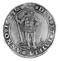 talar 1623, Aw: Dziki człowiek, w otoku napis i data, heraldyczne lilie i litery HL, Rw: Ozdobna t..
