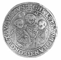 talar 1595, Drezno, Aw: Popiersia trzech książąt, powyżej data i napis w otoku, Rw: Ozdobna wielop..