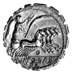 denar- Q. Antonius Balbus 83-82 pne, Aw: Głowa J