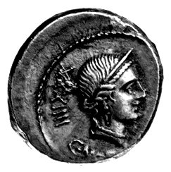 denar- C. Norbanus około 83 pne, Aw: Głowa Wenus