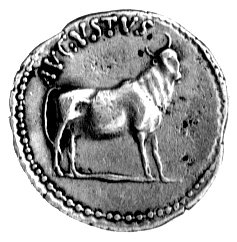 denar- Pergamon, Aw: Popiersie w prawo i napis: CAESAR, Rw: Stojący byk i napis: AVGVSTVS, Coh.28, BMC 662