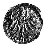 denar 1557, Elbląg, Kurp. 991 R4, Gum. 654, T. 7, rzadki.