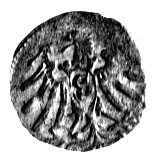 denar 1563, Królewiec, Bahr. 1230, Neumann 49, r