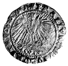 grosz 1569, Bielsko, F.u.S. 2794, bardzo rzadki.