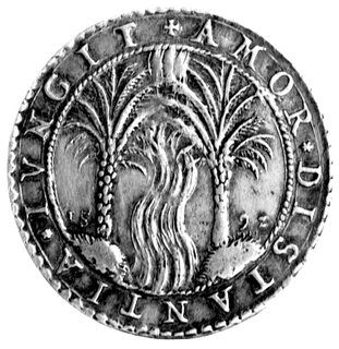 medal na zaślubiny Zygmunta III z Anną Austriaczką 1592 r., Aw: Dwie palmy przedzielone rzeką