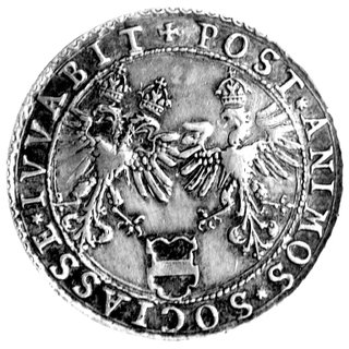 medal na zaślubiny Zygmunta III z Anną Austriaczką 1592 r., Aw: Dwie palmy przedzielone rzeką